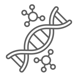 shape image