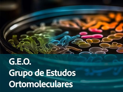 Aulas quinzenais, ao vivo e online
